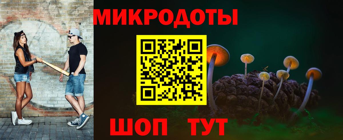 Псилоцибиновые грибы мицелий Магадан